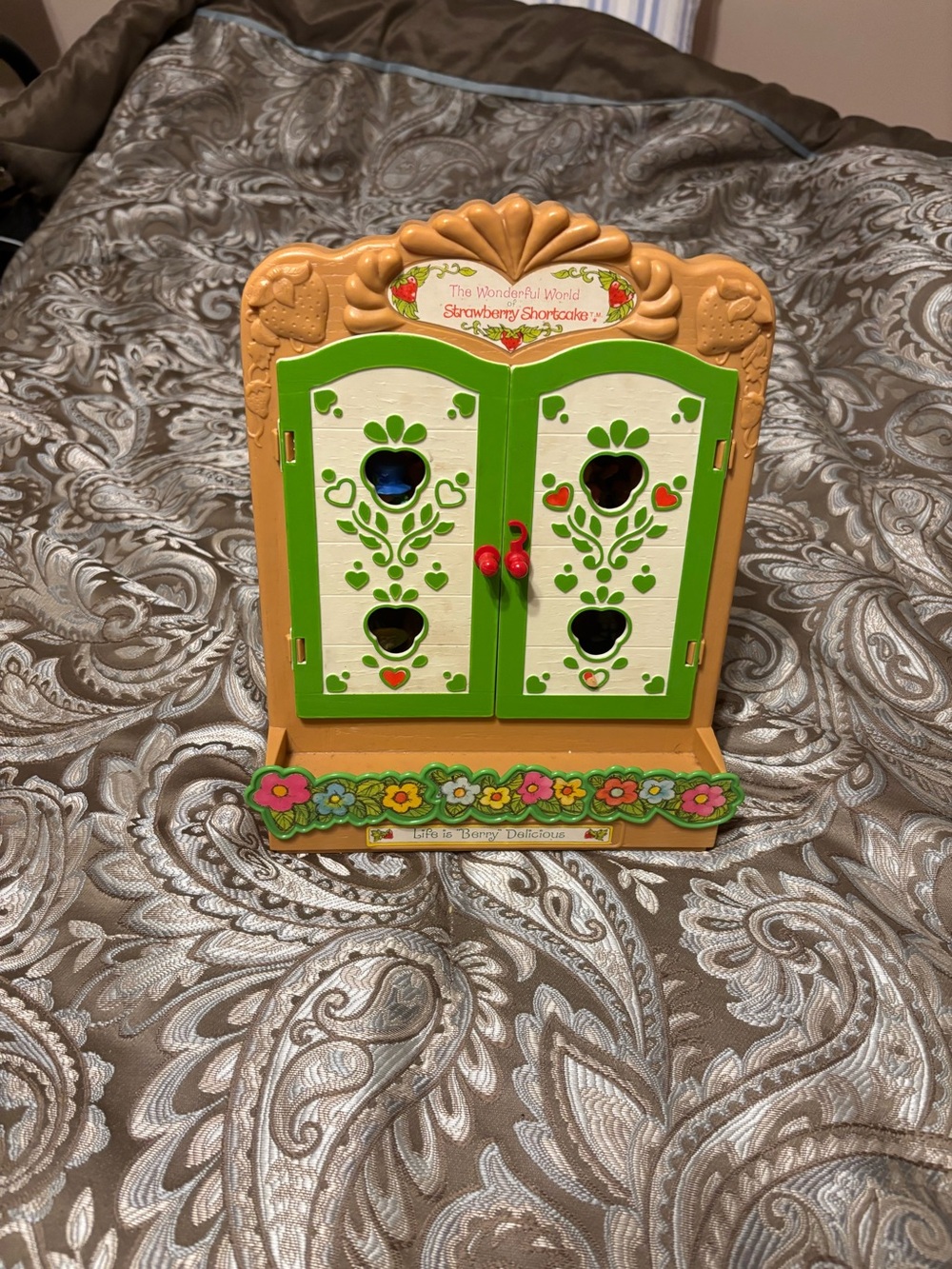 Strawberry shortcake cabinet that showcases all little strawberry shortcakes